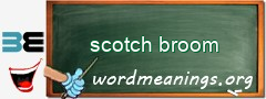 WordMeaning blackboard for scotch broom